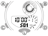 61