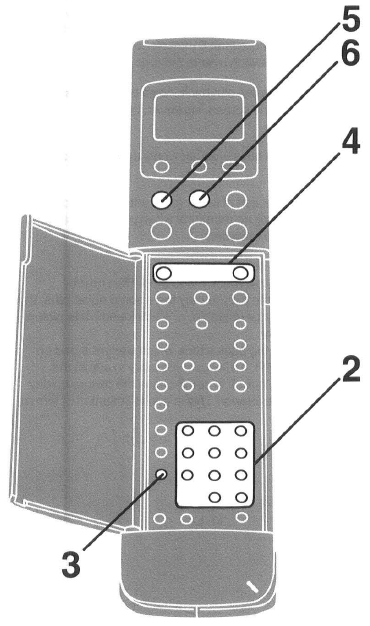 56